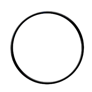 O-ring for Standard-Size Filter Housing (61301605452/ 113029) -0