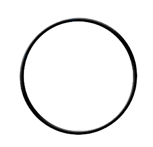 O-ring for Standard-Size Filter Housing (61301605452/ 113029) -0